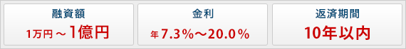 融資額1万円〜1億円、金利7.3％〜20.0％、返済期間2年以内